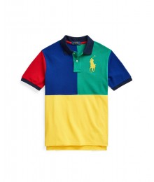 Polo Ralph Lauren Multi Color Blocked Polo Shirt